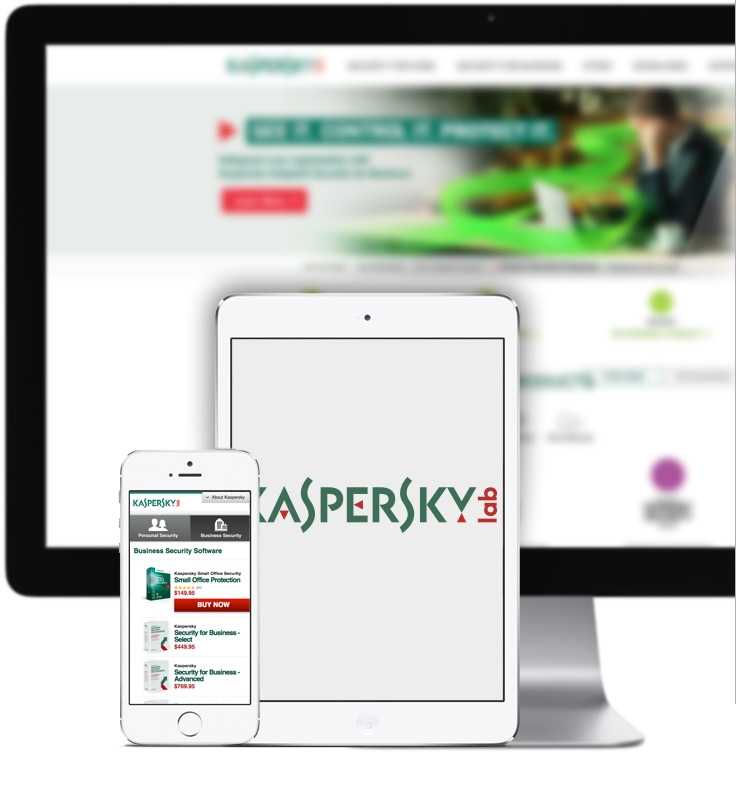 Kaspersky Lab --Process Simulation for E-Commerce Systems